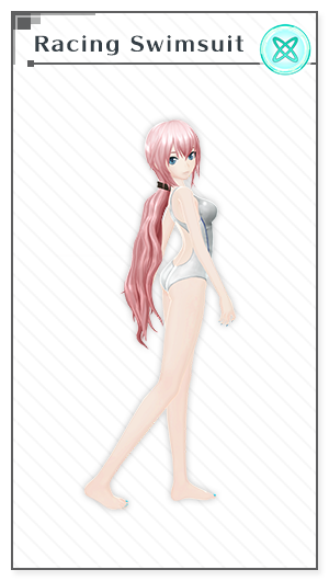 Racing Swimsuit